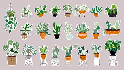 Tropical plants stickers big collection, different types of cacti and succulents
