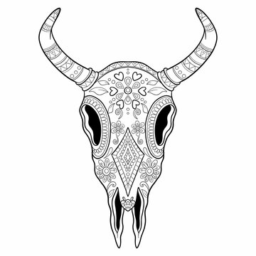 Buffalo Sugar Mexican Skull. Buffalo Skull cool. Vector illustration