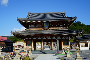 Fototapeta premium journey