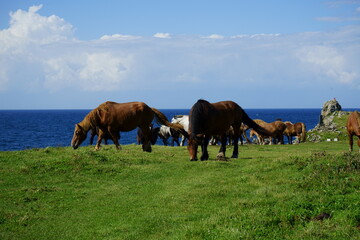 Obraz premium journey