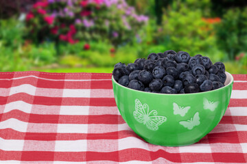 Closeup of fresh blueberries filled in a ceramic bowl on a red checked napkin or tablecloth in front of abstract blurred summer landscape. Concept of healthy nutrition. Space for your design.
