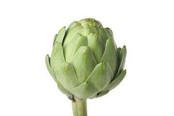 Obraz premium Fresh raw artichoke isolated on white background