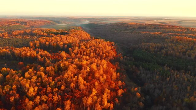 Fantastic autumn forest glows in the sunlight from a bird's eye view. Filmed in 4k, drone video.