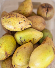 a pile of Manchurian nuts in a shell rich in iodine, on the table as a background