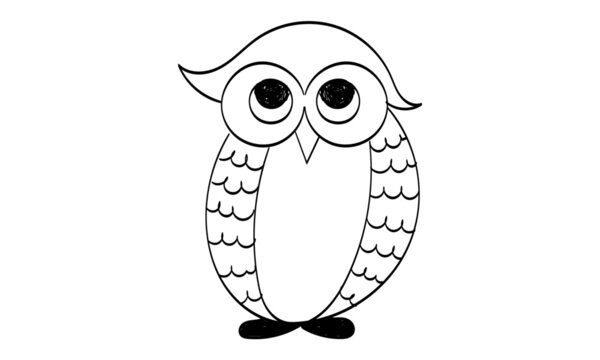 Cute vector owl character. Owls icons, bright owls with different emotions