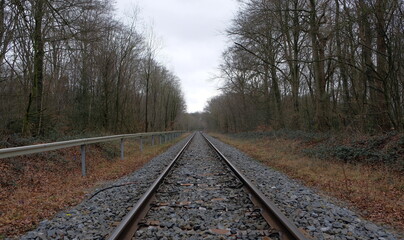 Obraz premium railroad track in the woods in autumn