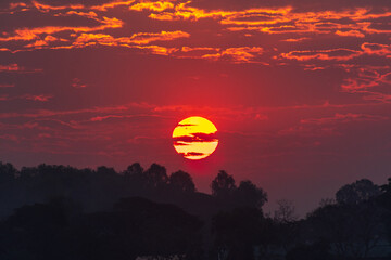 morning sun