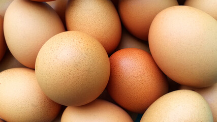 chicken egg brown shell It has good nutritional value for the body.