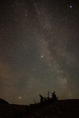 Fototapeta na wymiar Starry night long exposure photography in Sweden