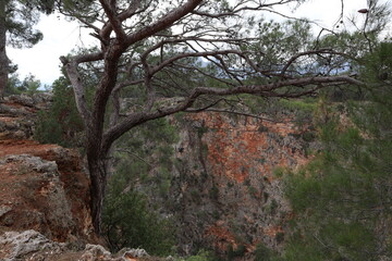 Beautiful view on Güver Canyon, Turkey, near Antalya