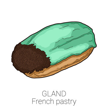 Gland Salambo French Pastry Pattiserie Cake Colorful Vector Illustration