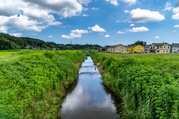 Stream flow through rural area in Chiba prefecture, JAPAN.
