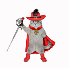 An ashen cat dressed a red cloak and a hat holds a sword. White background. Isolated.