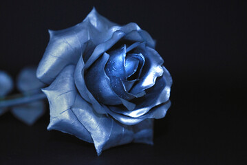 Photo of a rose as a symbol of love and affection.