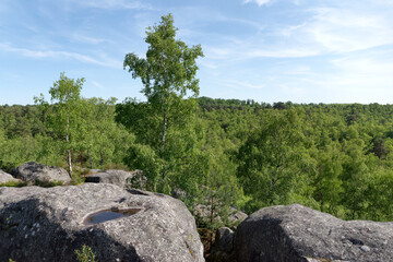 Obraz premium Gorges of Barbizon in Fontainebleau forest