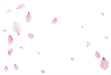 Pink sakura vector background, cherry flowers