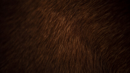 Animal hair of fur cow leather texture background