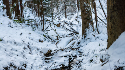Trees covered with snow on frosty day at beautiful winter panorama Winterly view at the Jigokudani in the Nagano Prefecture of Japan a famous sightseeing in Japan
