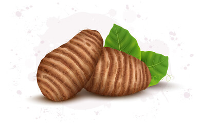 Colocasia root_12