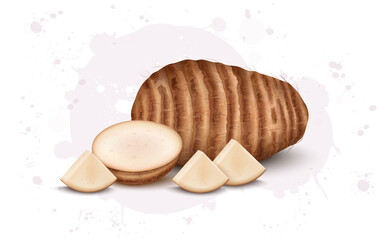 Fresh taro root vector illustration with taro root vegetable slices
