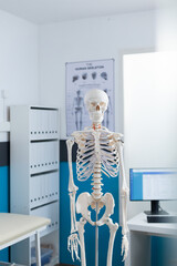 Empty medical office equipped with anatomical human skeleton ready for osteopathy consultation. Hospital workplace with nobody in it, having model of body structure. Medicine concept