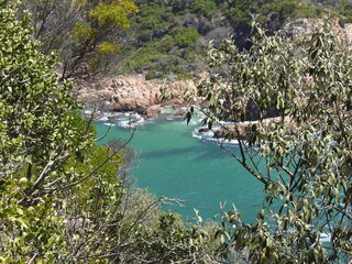 Fototapeta premium garden route game reserve