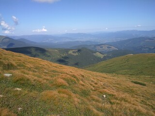 Beautiful view near Hoverla. Beauty sunny summer day in mountains.