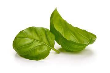 Fresh organic basil leaves, isolated on white background.