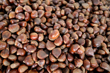 at the market freshly picked up chestnuts 