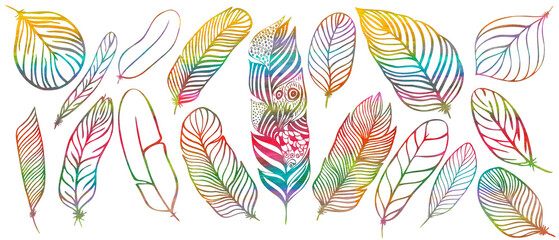 set of different feathers handwritten in color