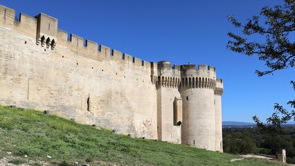Fototapeta na wymiar fortress of the fortress