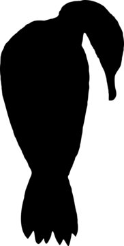 Silhouette animal noir fond transparent, grand cormoran 