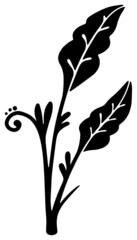 手描きのモノクロのツタ模様単品　ラスター素材