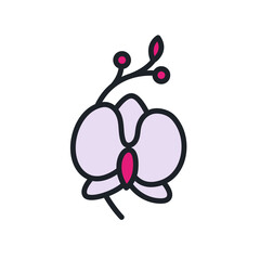 Orchid icon. Home flowers isolated vector icon. Home gardening