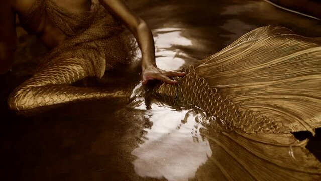 beautiful golden tail of fairytale mermaid in magical pond, mythology and imagination
