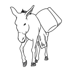donkey cartoon illustration