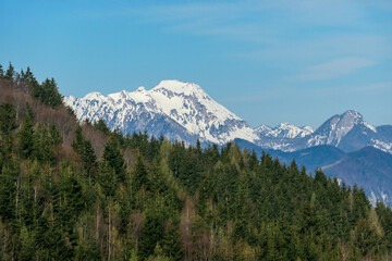 Scenic view of snow capped mountain peaks of Karawanks near Sinacher Gupf in Carinthia, Austria. Mount Mittagskogel and Dobratsch is visible through dense forest in early spring. Sunny Rosental