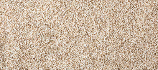Dried white quinoa seeds background