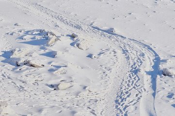 Winter landscape on a sunny day. The snow-covered surface of the ice of the river with a heap of ice floes. Path and road. Traces of people and animals in the snow. View from above.