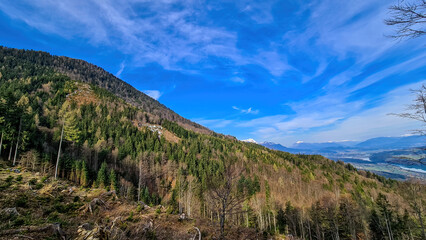 Scenic view on the Drava river in the Rosental valley on the way to Sinacher Gupf in Carinthia, Austria. Forest in early spring. The Hohe Tauern mountain range can be seen in the back. Sunny day. Hike