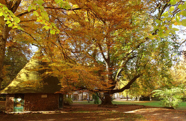 vittel  le parc 