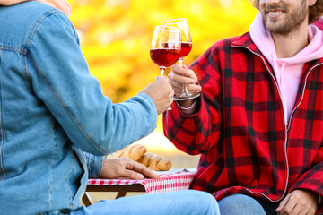 Happy gay couple having picnic outdoors