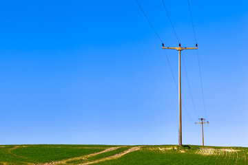 Fototapeta na wymiar Wired Rural Area / Simple overhead transmission line poles on agricultural field, way lead to horizon (copy space)