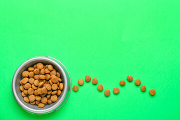 Bowl of dry pet food on green background