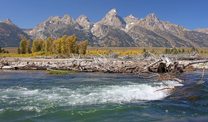 View of the Grand Tetons and autumn colours from the Snake River
