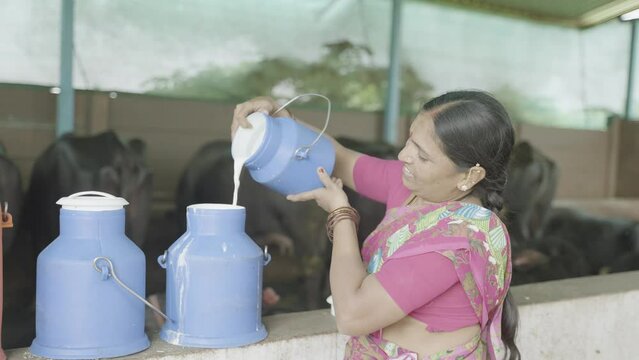 Happy smiling Indian woman busy working by pouring milk into container while looking at camera - concept of milk production, agri business, growth and empowerment.