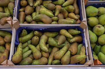 Assortment of fresh pear fruits at market