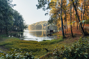 Fototapeta na wymiar Beatiful nature lake and forest in the morning