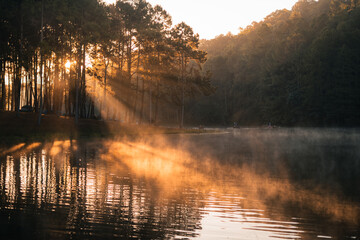 Beatiful nature lake and forest in the morning