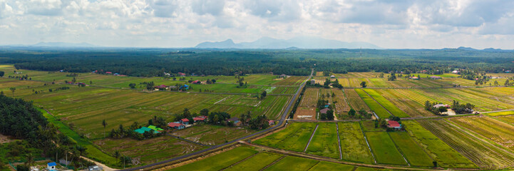 Aerial drone view of green paddy fields in Sungai Rambai, Melaka, Malaysia.